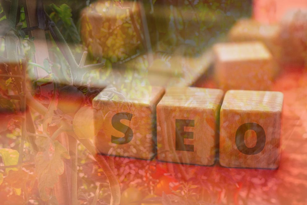 organic-seo-croydon-greater-london